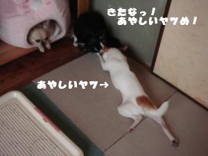 蟆城未+499_convert_20120731131732