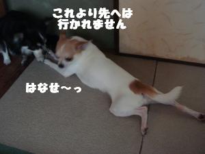 蟆城未+502_convert_20120731135558