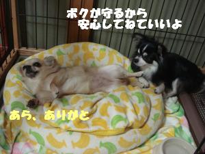 蟆城未+514_convert_20120731132017