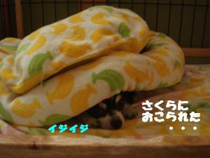 蟆城未+516_convert_20120731132116