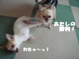 蟆城未+520_convert_20120731131557