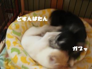 蟆城未+528_convert_20120731131407
