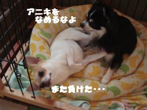 蟆城未+531_convert_20120731131307