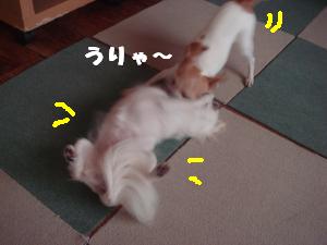 蟆城未+550_convert_20120801132501