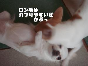 蟆城未+551_convert_20120801132548