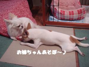 蟆城未+540_convert_20120801132158
