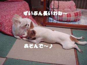 蟆城未+538_convert_20120801132101