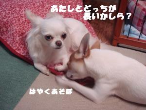 蟆城未+539_convert_20120801132126