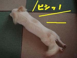 蟆城未+463_convert_20120801132325