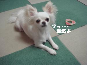 蟆城未+391_convert_20120801132630
