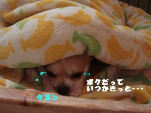 蟆城未+546_convert_20120801132244