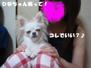 蟆城未+492_convert_20120801131931