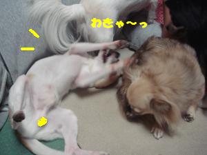 蟆城未+550_convert_20120802101440