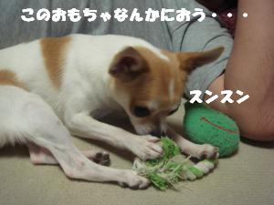 蟆城未+546_convert_20120802100714