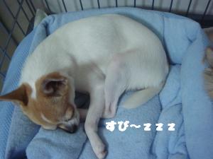 蟆城未+562_convert_20120802095522