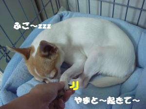 蟆城未+563_convert_20120802095550