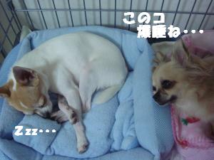 蟆城未+564_convert_20120802095613