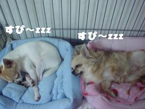 蟆城未+565_convert_20120802095641