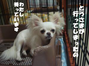 蟆城未+534_convert_20120731131337
