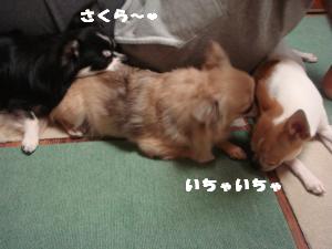 蟆城未+573_convert_20120803104316