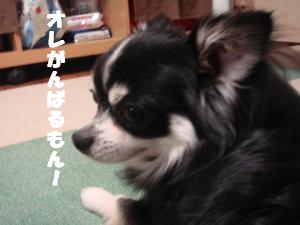 蟆城未+575_convert_20120803104435
