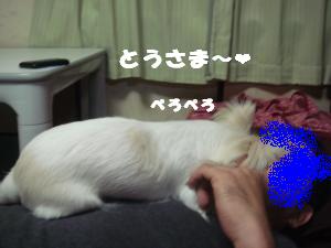 蟆城未+473_convert_20120803104512