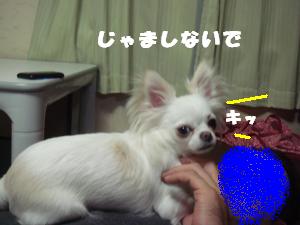 蟆城未+474_convert_20120803104539