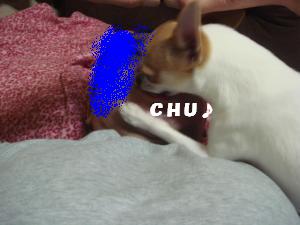 蟆城未+559_convert_20120803104623