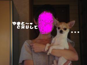 蟆城未+579_convert_20120803104823