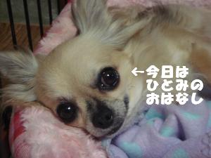 蟆城未+291_convert_20120803150023
