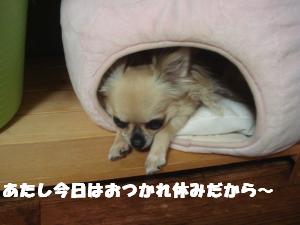 蟆城未+312_convert_20120803145034