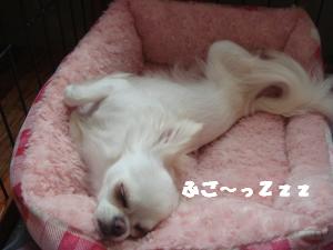 蟆城未+466_convert_20120803144520