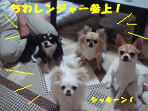 蟆城未+504_convert_20120803151340
