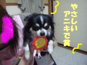 蟆城未+591_convert_20120806111435
