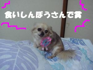 蟆城未+592_convert_20120806111540