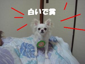蟆城未+604_convert_20120806112412