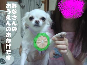 蟆城未+584_convert_20120806111335