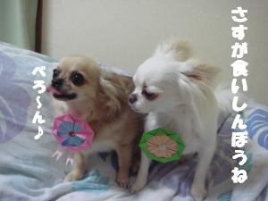 蟆城未+599_convert_20120806111929