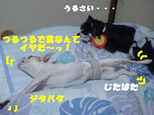 蟆城未+619_convert_20120806114414