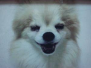 蟆城未+586_convert_20120806112559