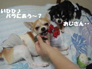 蟆城未+628_convert_20120806135927