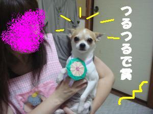 蟆城未+596_convert_20120806111624
