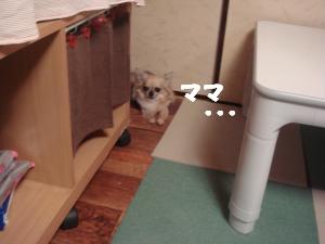 蟆城未+654_convert_20120807110439