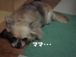 蟆城未+647_convert_20120807111140