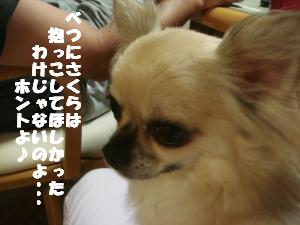 蟆城未+642_convert_20120807110931