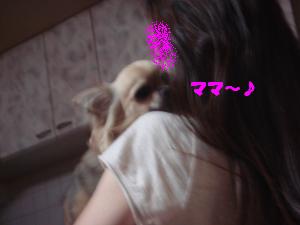 蟆城未+636_convert_20120807110822