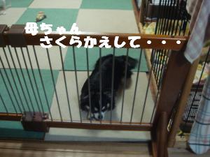 蟆城未+644_convert_20120807111008