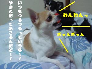 蟆城未+616_convert_20120807110637