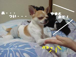 蟆城未+615_convert_20120807110709