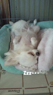 縺。繧上o+532_convert_20120807154144